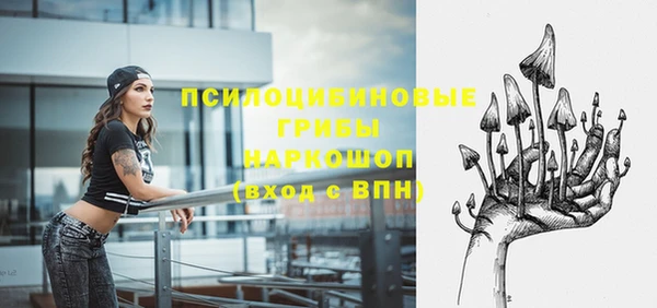 шишки Богданович