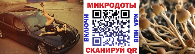 Галлюциногенные грибы прущие грибы  даркнет как зайти  Котельниково  магазин  наркотиков 